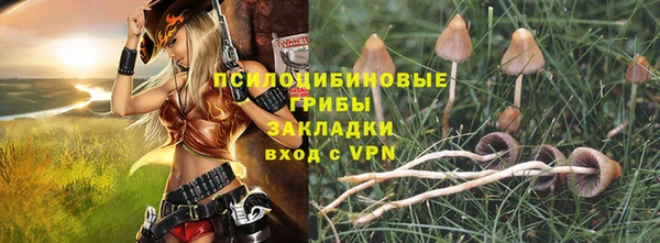 ГАЛЛЮЦИНОГЕННЫЕ ГРИБЫ Бронницы