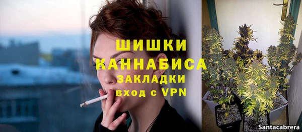 прущие грибы Верхний Тагил
